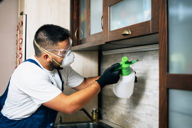 Best Flea Control Services  in White Haven, PA