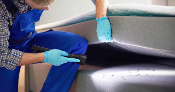 Reliable White Haven, PA Pest Control Solutions