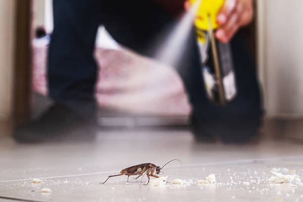 Pest Prevention Services in White Haven, PA