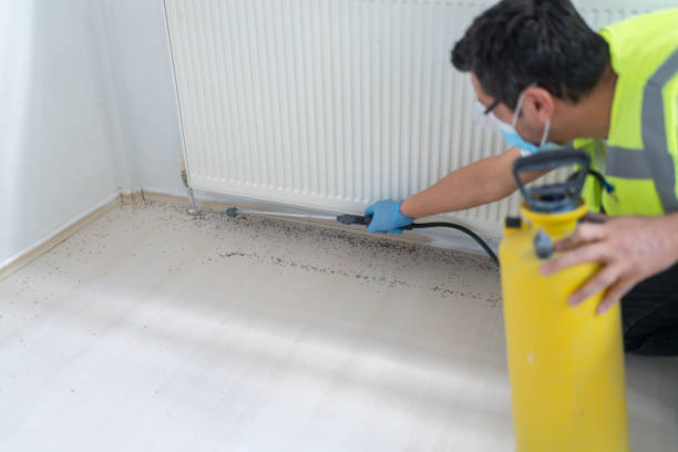 Best Local Pest Control Services  in White Haven, PA